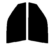 スパッタゴールド80 運転席・助手席 セドリック ハードトップ Y32 前期 カット済みカーフィルム拍卖