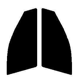 スパッタゴールド75 運転席・助手席 トヨタ マークX X13# カット済みカーフィルム 拍卖