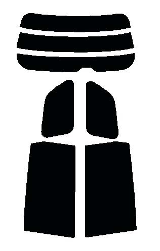 ダークスモーク 13% 2層構造フィルム トヨタ エスティマ ACR50W・ACR55W タイプB カット済みカーフィルム リヤーセット 拍卖