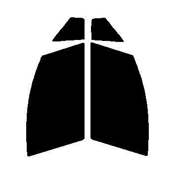 スパッタシルバー50 運転席・助手席 トヨタ ヴィッツ P130・P131・P135 カット済みカーフィルム 拍卖