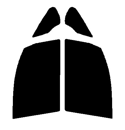 スーパーブラック 5% 2層構造フィルム 運転席・助手席 トヨタ ノア R80・R85 カット済みカーフィルム 拍卖