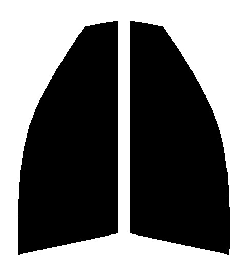 ゼノン2 オーロラ84 運転席、助手席 レクサス CT ZWA10 カット済みフィルム拍卖