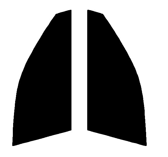 スパッタゴールド80 運転席・助手席 レクサス GS L10・L16・L12 カット済みカーフィルム 拍卖