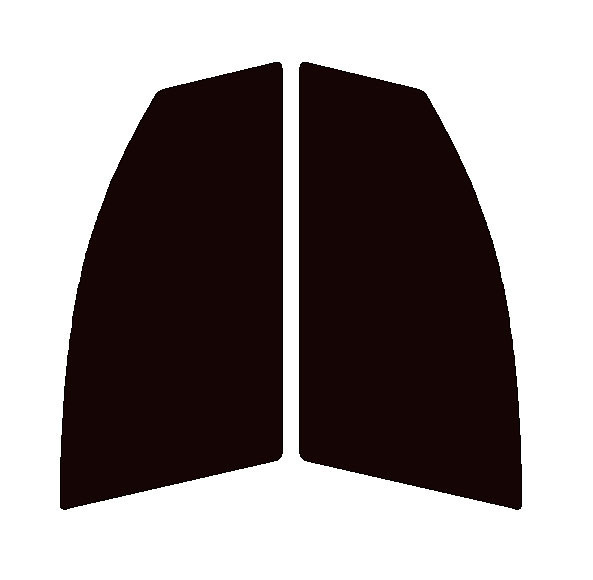 スパッタシルバー50 運転席・助手席 トヨタ パッソ C30・C35 カット済みカーフィルム 拍卖