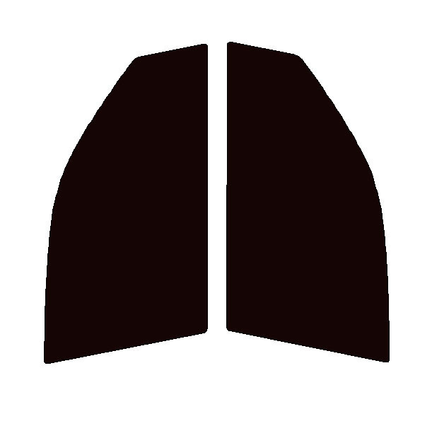 断熱クリアー 運転席、助手席 エクストレイル (X-TRAIL) T31 カット済みフィルム拍卖