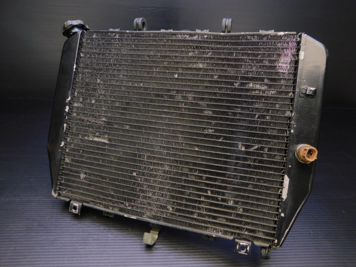 100 実動外!! ZX-12R ニンジャ ZXT20B 取外 ラジエーター拍卖