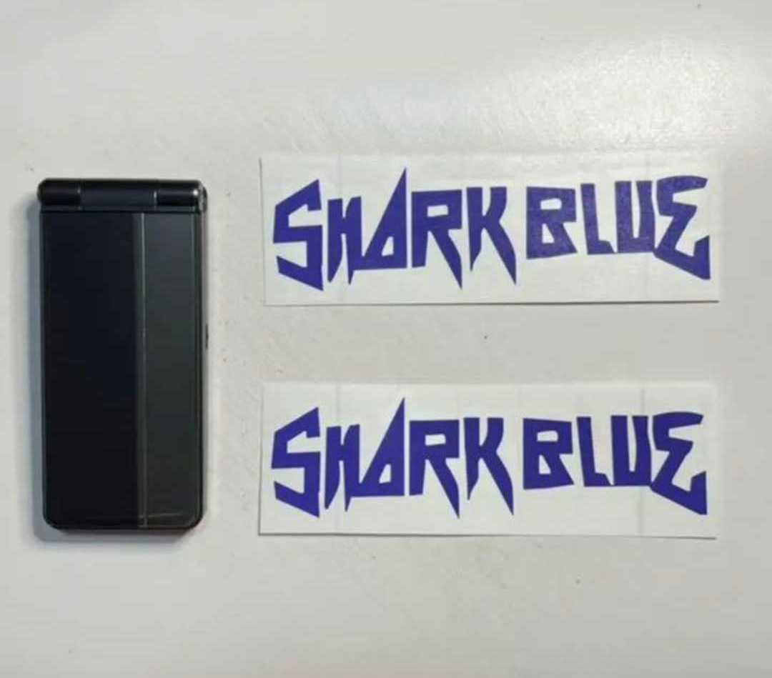 サメブル ブルーバード 切り文字ステッカー カッティングステッカー NISSAN 日産 旧車 街道レーサー ドレスアップ カスタム拍卖