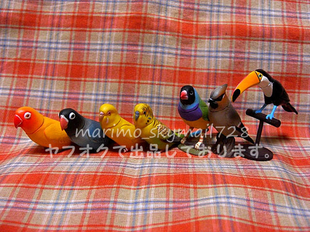 【チョコエッグ】動物 ペット 鳥 7種【キレンジャク/セキセイインコ/コキンチョウ/キエリクロボタンインコ/オニオオハシ】拍卖