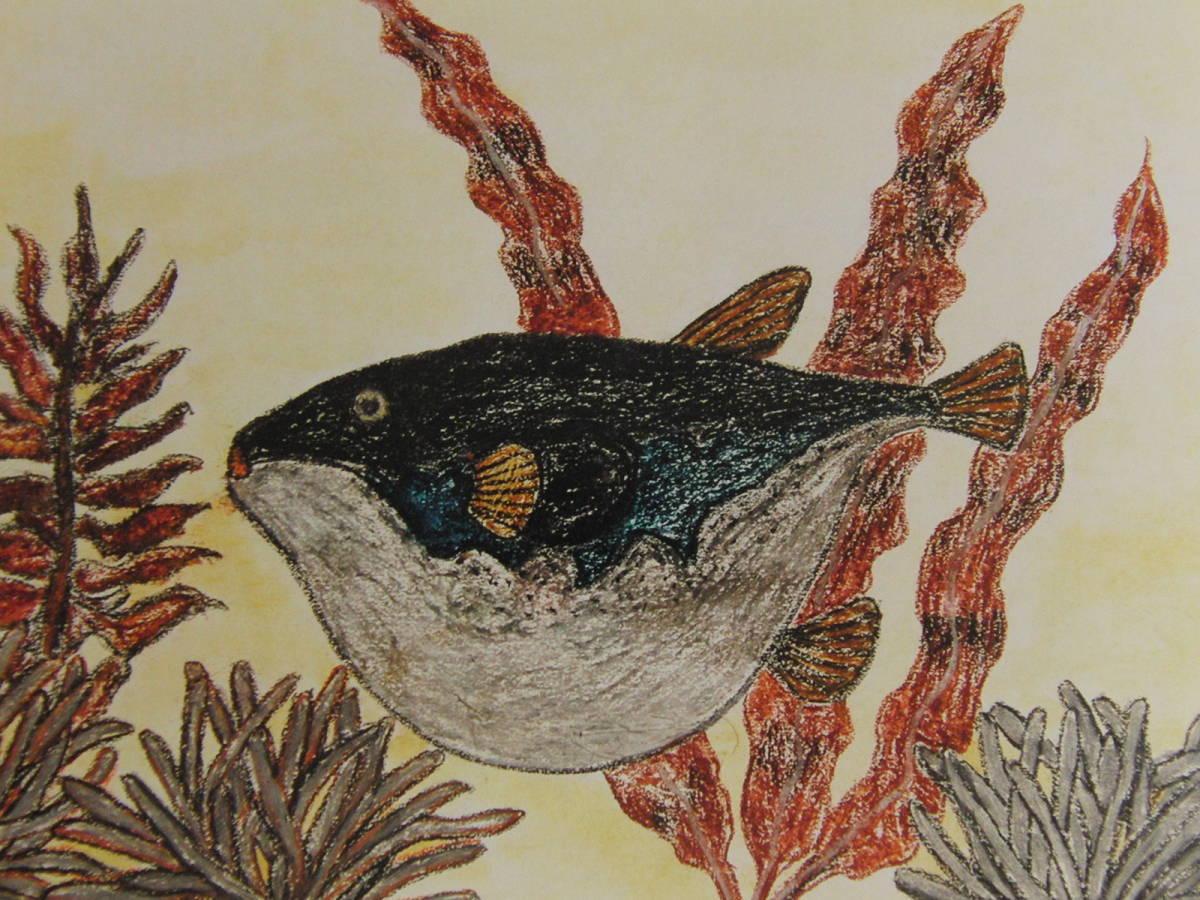 山下清、【ふぐ】、希少な額装用画集より、美品、日本人画家、新品額装付、送料込み拍卖