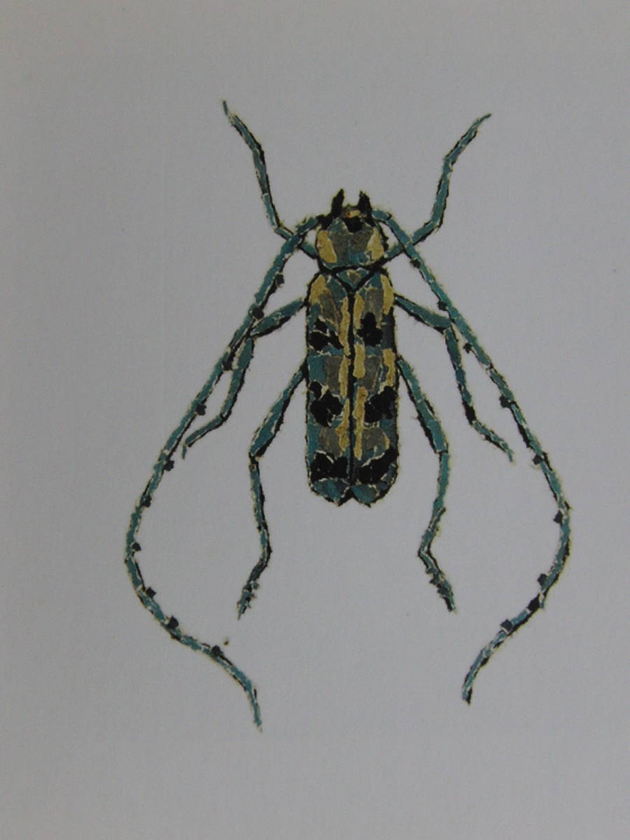 山下清、【カミキリ】、希少な額装用画集より、美品、日本人画家、新品額装付、送料込み拍卖