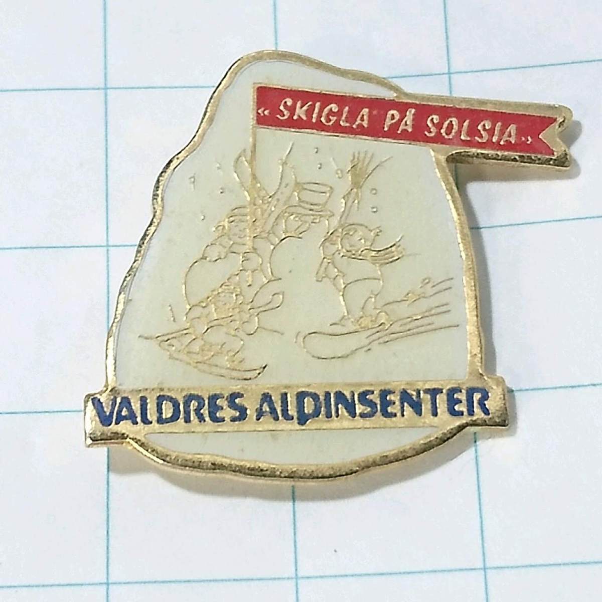 送料無料)バルドレス ノルウェー 観光地 旅行 記念 ノルウェー輸入 アンティーク ピンバッジ PINS ピンズ A07691拍卖