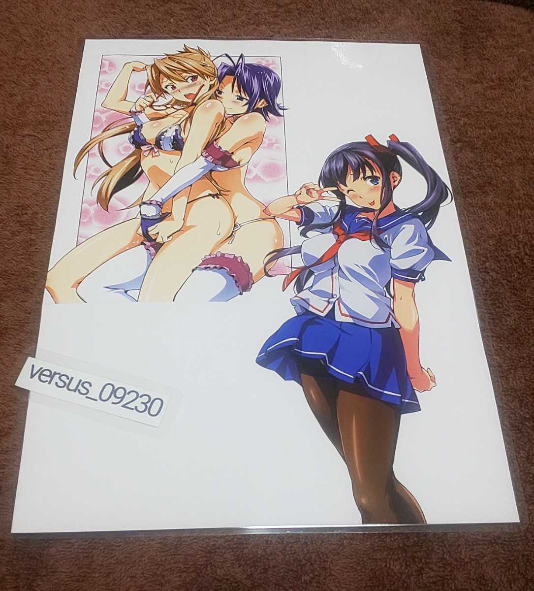 ♪『マケン姫っ!』♪両面イラスト♪切り抜き♪ラミネート加工済♪A4sizeのフィルム使用♪武田弘光♪⑧拍卖