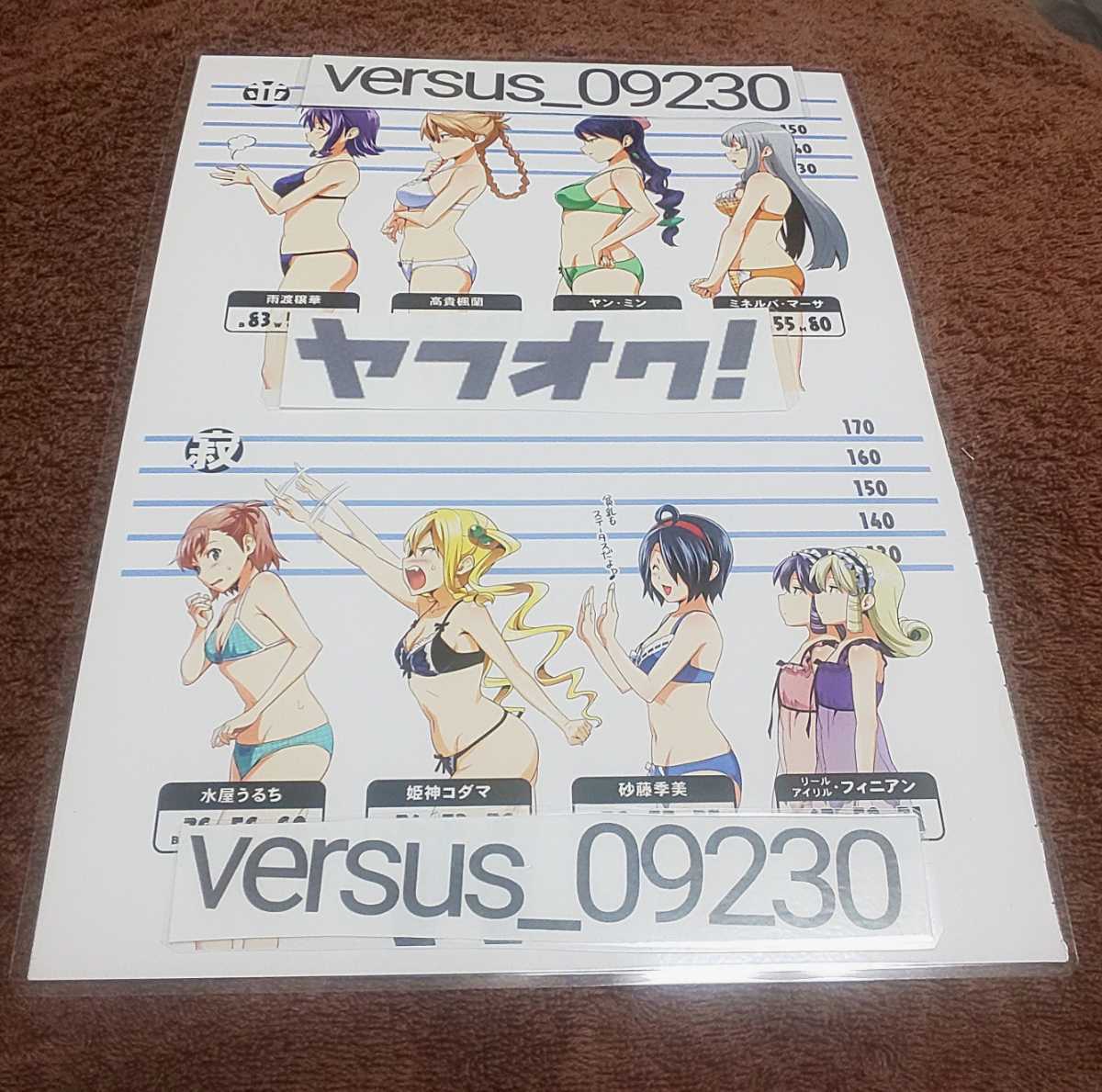 ♪『マケン姫っ!』♪両面イラスト♪切り抜き♪ラミネート加工済♪A4sizeのフィルム使用♪武田弘光♪⑭拍卖