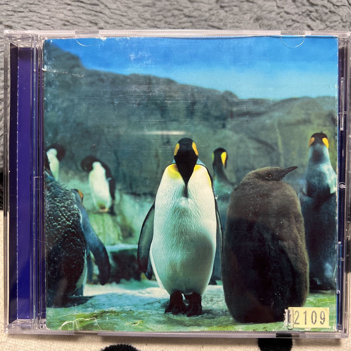 CD 羅針盤/ らご WPC6-8394拍卖