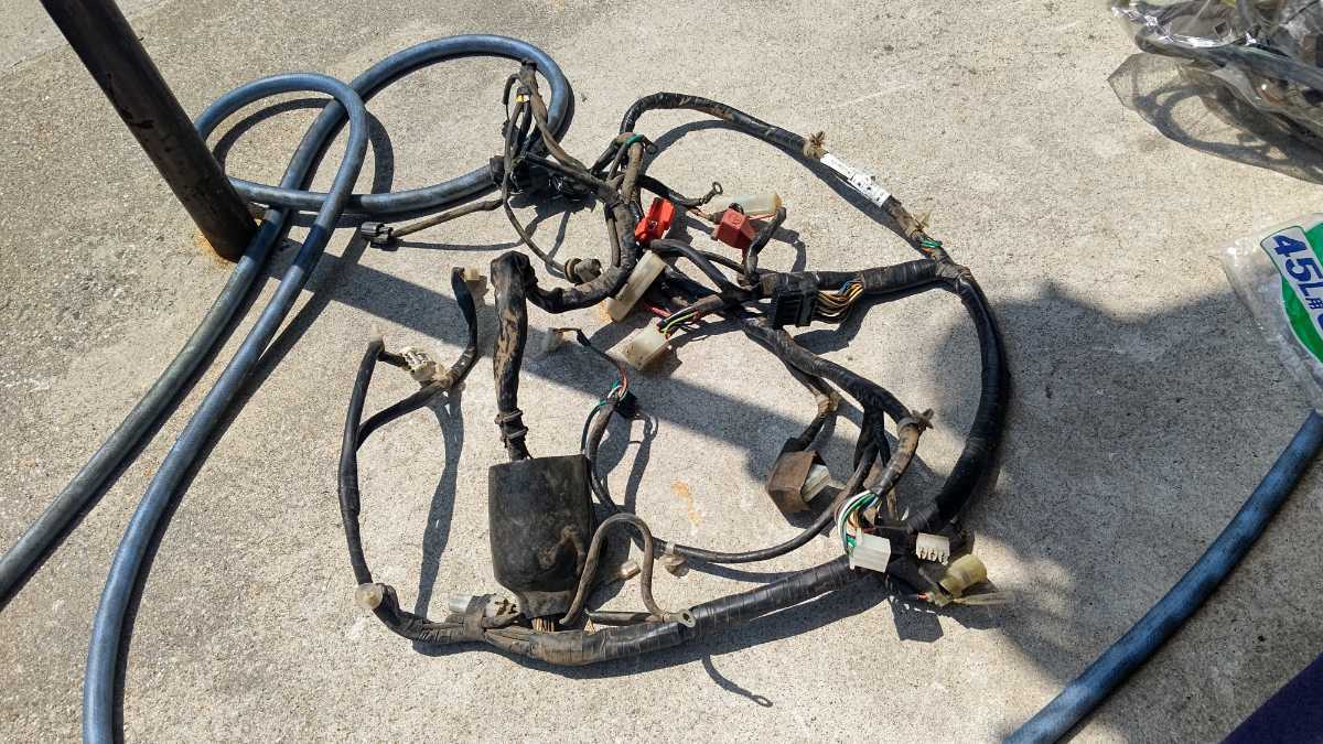 HONDA AF68 Dio CESTA ディオ チェスタ 4スト 純正 メイン ハーネス 配線 電装系 ベース 原付 ホンダ 流用拍卖