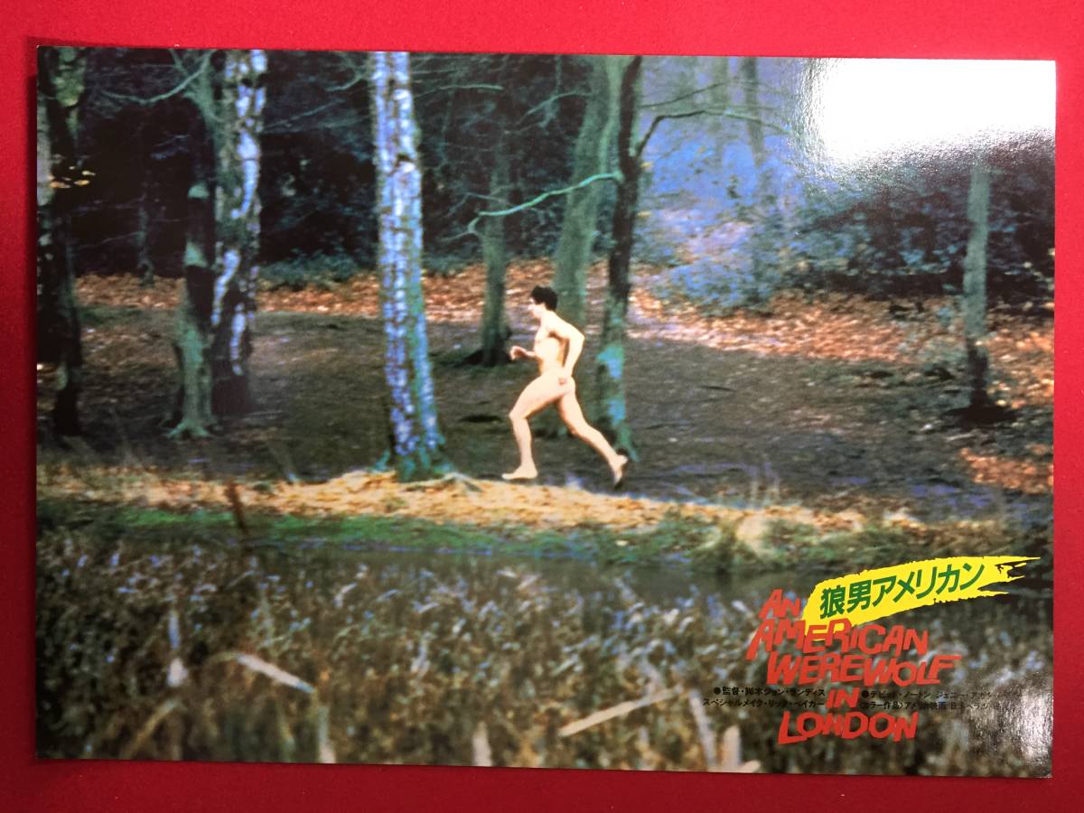 94757『狼男アメリカン』ロビーカード デイヴィッド・ノートン グリフィン・ダン ジョン・ランディス ジョン・ランディス拍卖