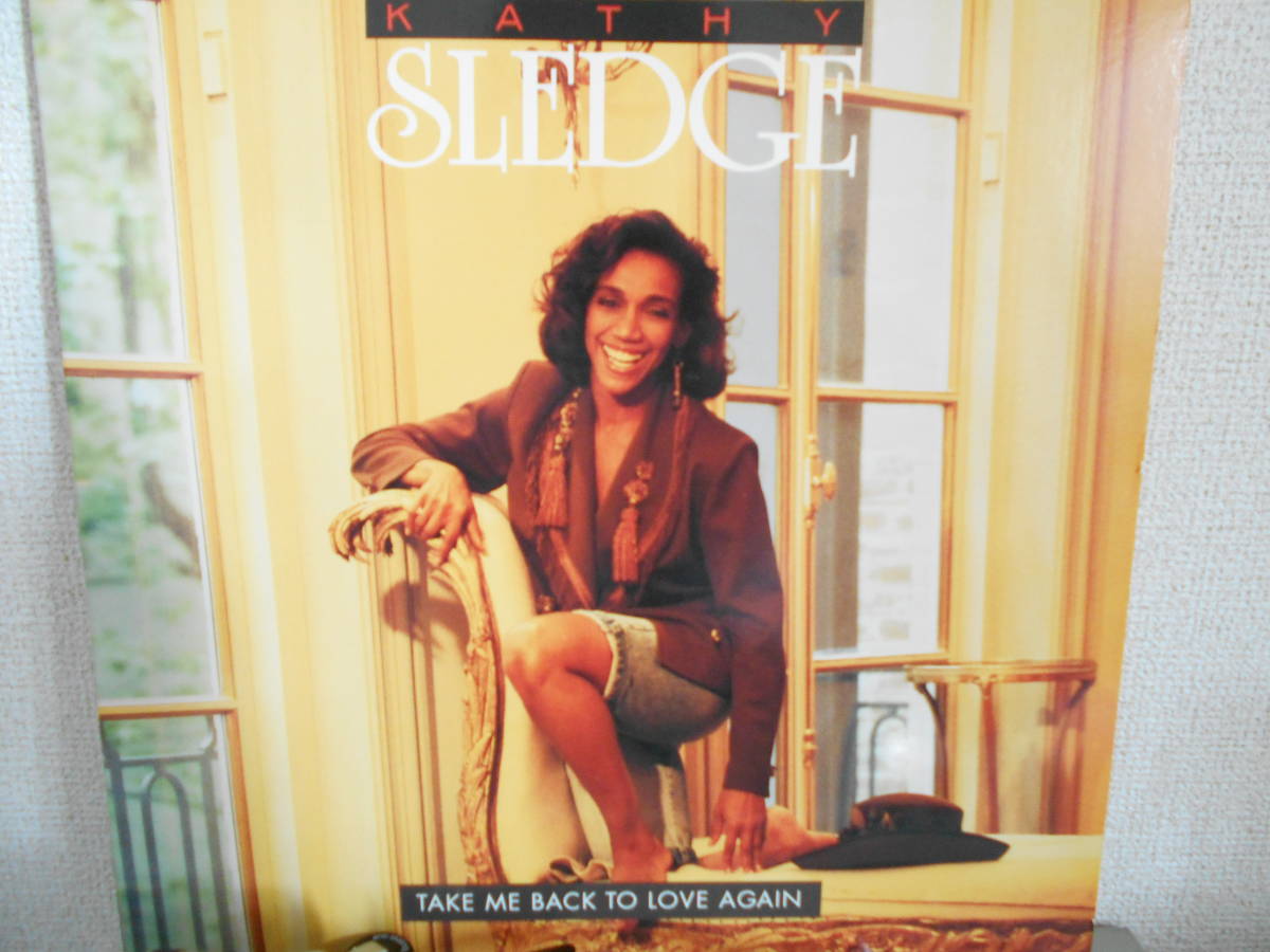 KATHY SLEDGE/TAKE ME BACK TO LOVE AGAIN 新品同様 CLUB拍卖