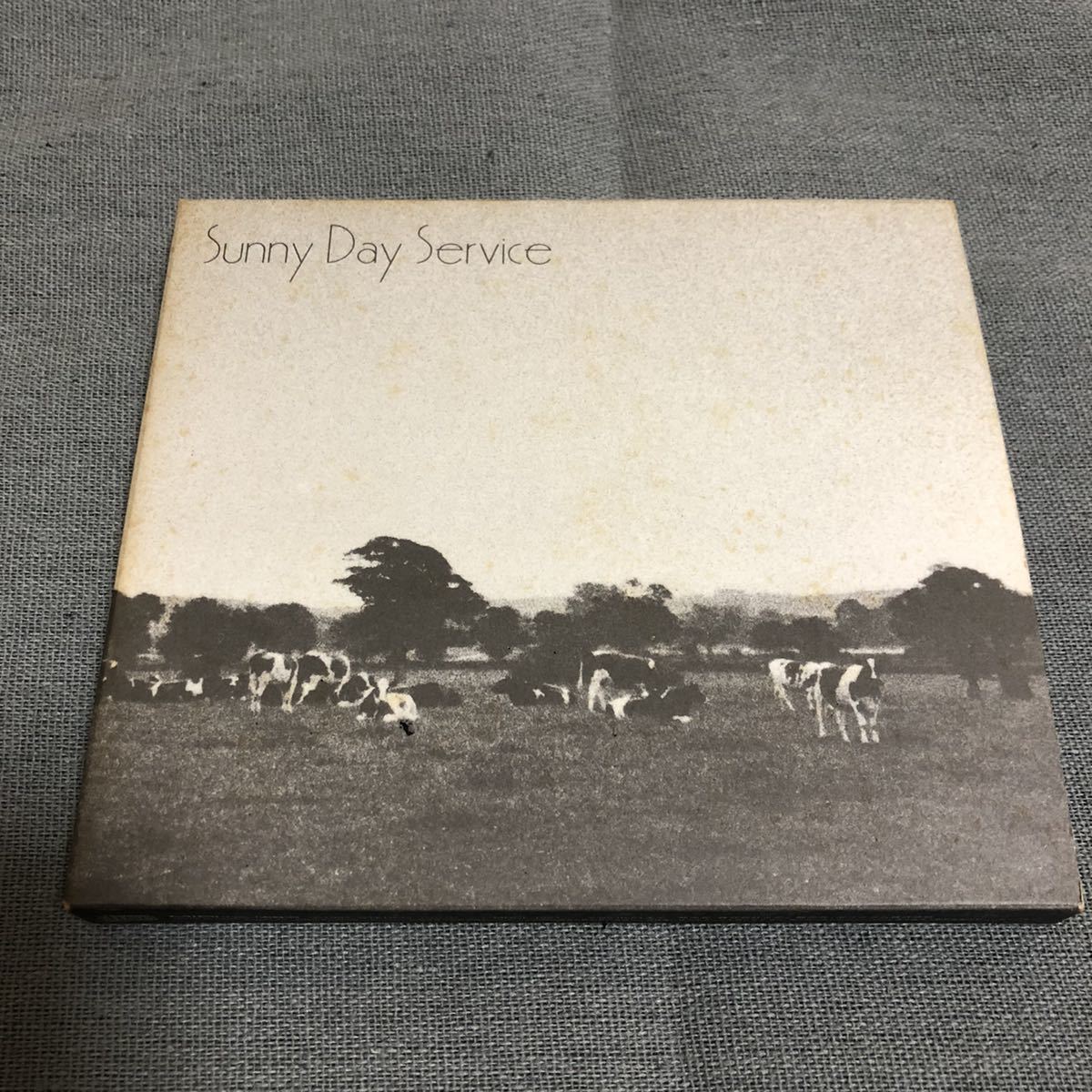 送料無料 / サニーデイ・サービス / サニーデイ・サービス Sunny Day Service拍卖