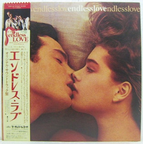 LP,エンドレスラブ ENDLESS LOVE ダイアナドス DIANA ROSS拍卖