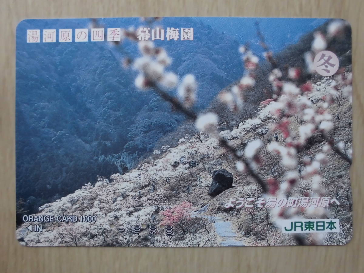 JR東 オレカ 使用済 湯河原の四季 冬 幕山梅園 【送料無料】拍卖
