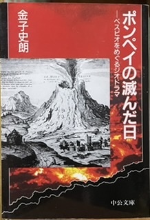 即決!金子史朗『ポンペイの滅んだ日 ベスビオをめぐるジオドラマ』1995年初版 現代文明への警鐘ともなる歴史ドキュメント【絶版文庫】拍卖