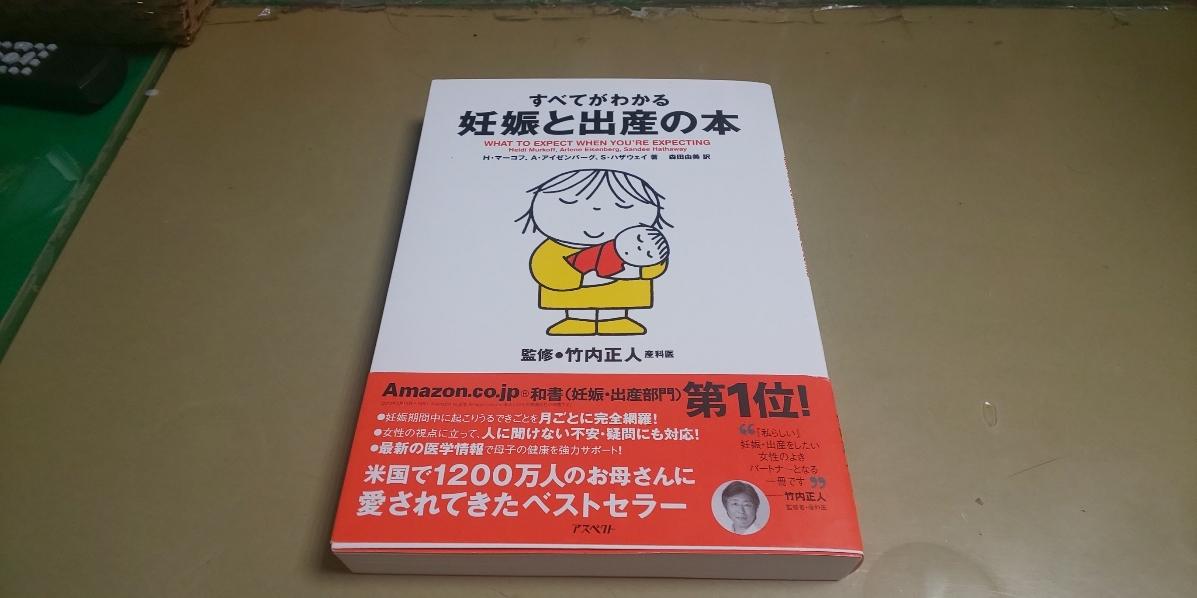 すべてがわかる「妊娠と出産の本」アスペクト社 良質単行本 B5版 定価2500円+税拍卖