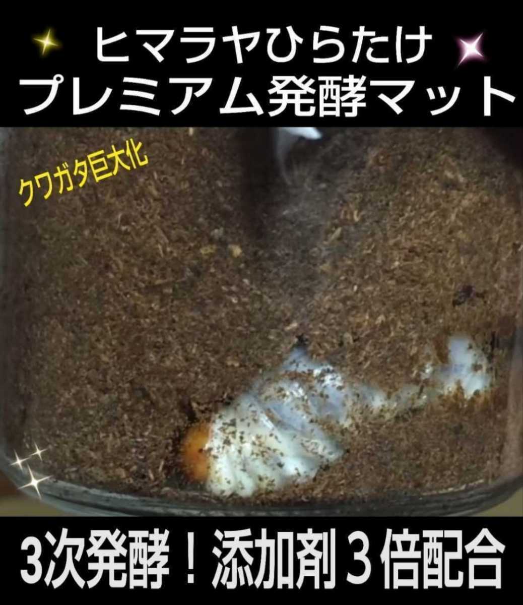 進化した!特選☆プレミアム3次発酵クワガタマット☆栄養添加剤共生バクテリア3倍配合!アンテ・ミヤマ・ヒラタ・虹色・ノコギリに☆微粒子拍卖