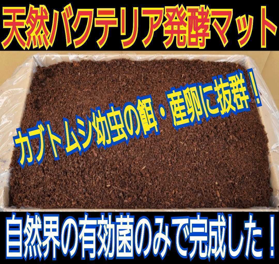 カブトムシ幼虫の大量飼育にどうぞ!天然マット【200L】オオヒラタケ菌床を粉砕し自然界のバクテリアのみで6ヶ月間完熟発酵させました!拍卖