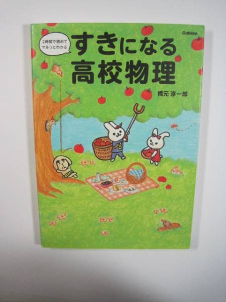 すきになる高校物理 物理拍卖