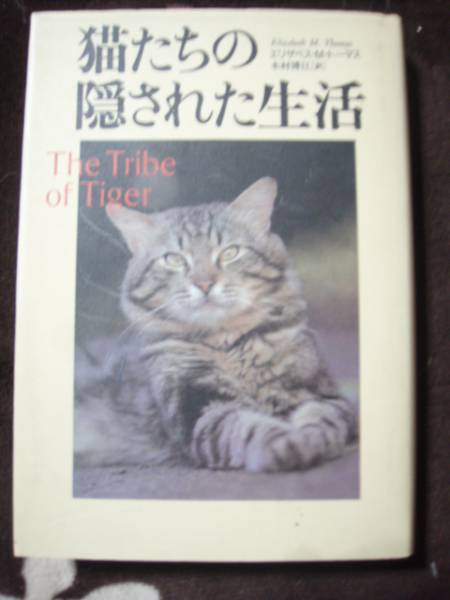 ☆猫たちの隠された生活拍卖