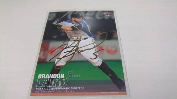 即決2017BBM 1st 金箔サイン 日本ハム5レアード043/100拍卖