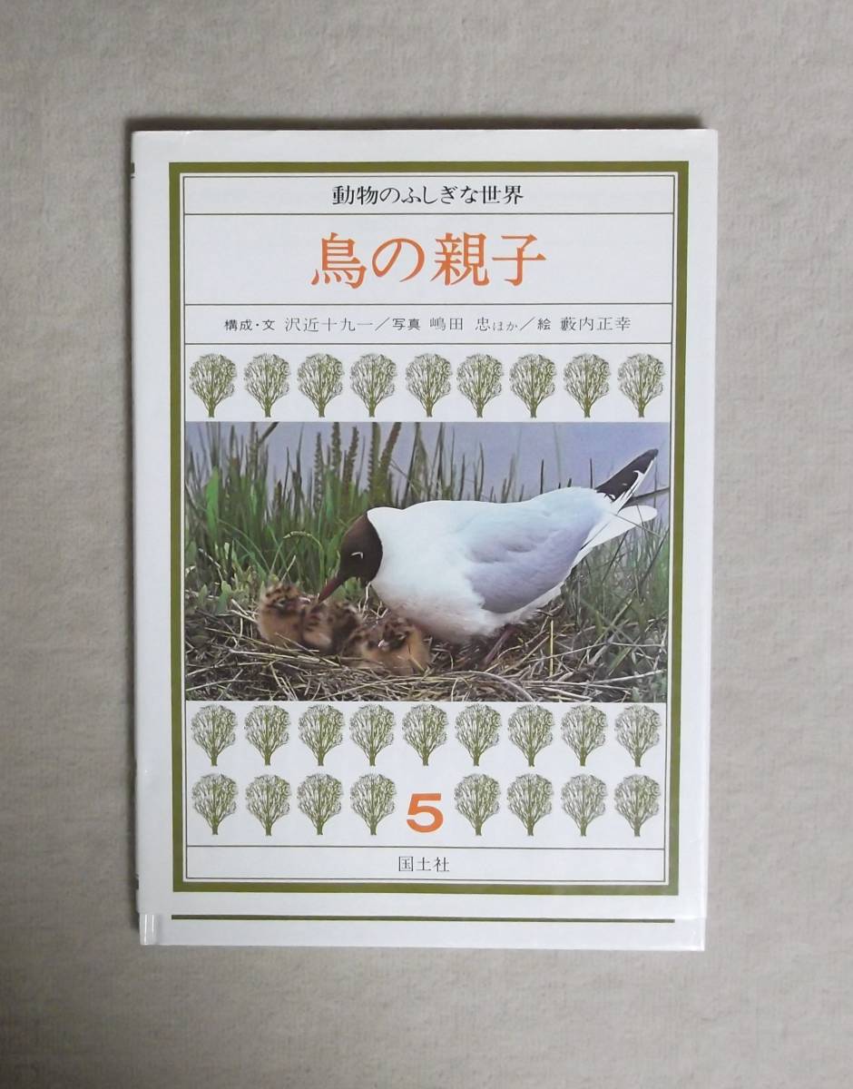 ★動物のふしぎな世界5・鳥の親子★国土社★定価1456円+税★構成・文/沢近十九一★拍卖