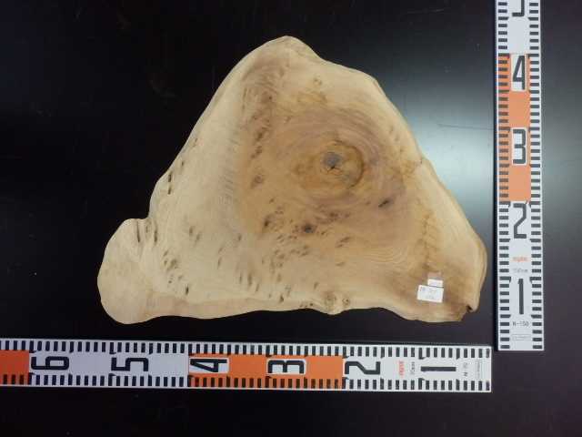 e2041932 欅コブ●厚約1.2cm☆無垢板1枚板 木材 板 DIY 板材 天板 棚板 テーブル 看板 花台など種類豊富!拍卖