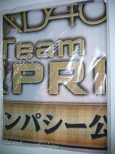 送料無料 AKB48 チームサプライズ デッサン のぼり POP 高橋みなみ・指原莉乃拍卖
