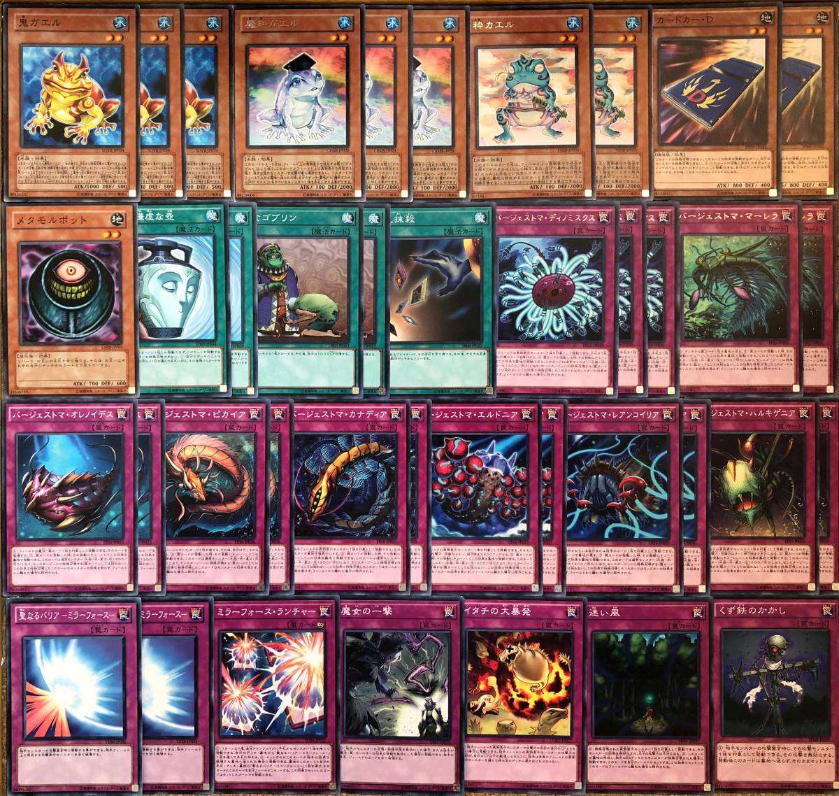 遊戯王 構築済み バージェストマ・カエル デッキ EX付 マーレラ カナディア オレノイデス ディノミスクス カンブロラスター 餅カエル拍卖
