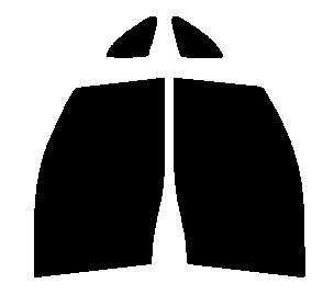 ゴースト2 ネオ オーロラ79 運転席、助手席 セレナ C25 カット済み フィルム拍卖