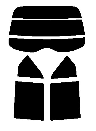 ウルトラブラック 3% イグニス FF21S カット済みカーフィルム リヤーセット拍卖