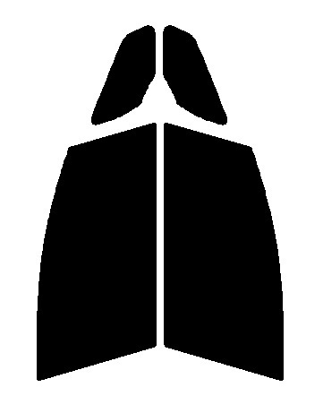 スパッタゴールド80 運転席・助手席 フィット GE6・GE7・GE8・GE9 カット済みカーフィルム 拍卖