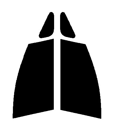 断熱クリアー 運転席、助手席 オデッセイ RC1・RC2・RC4 カット済みフィルム拍卖