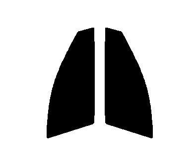 ファインゴースト オーロラ87 運転席、助手席 アテンザ セダン GJ カット済みフィルム拍卖