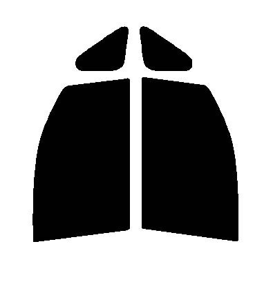 スパッタゴールド80 運転席・助手席 ステップワゴン RK カット済みカーフィルム 拍卖