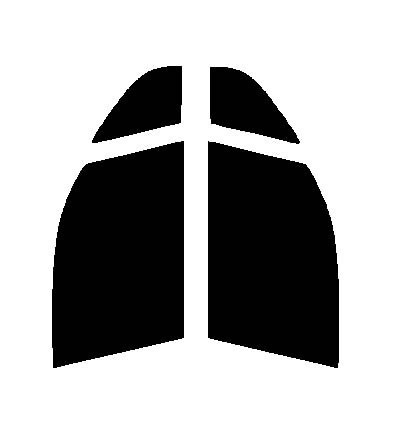 スパッタゴールド80 運転席・助手席 ライフ JC1・JC2 カット済みカーフィルム 拍卖