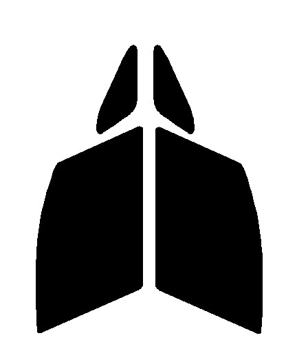 ウルトラブラック 3% 運転席、助手席 BMW 2シリーズ アクティブツアラー F45 カット済みフィルム 国産拍卖