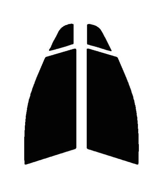 スパッタゴールド80 運転席・助手席 オデッセイ RB3・RB4 カット済みカーフィルム 拍卖