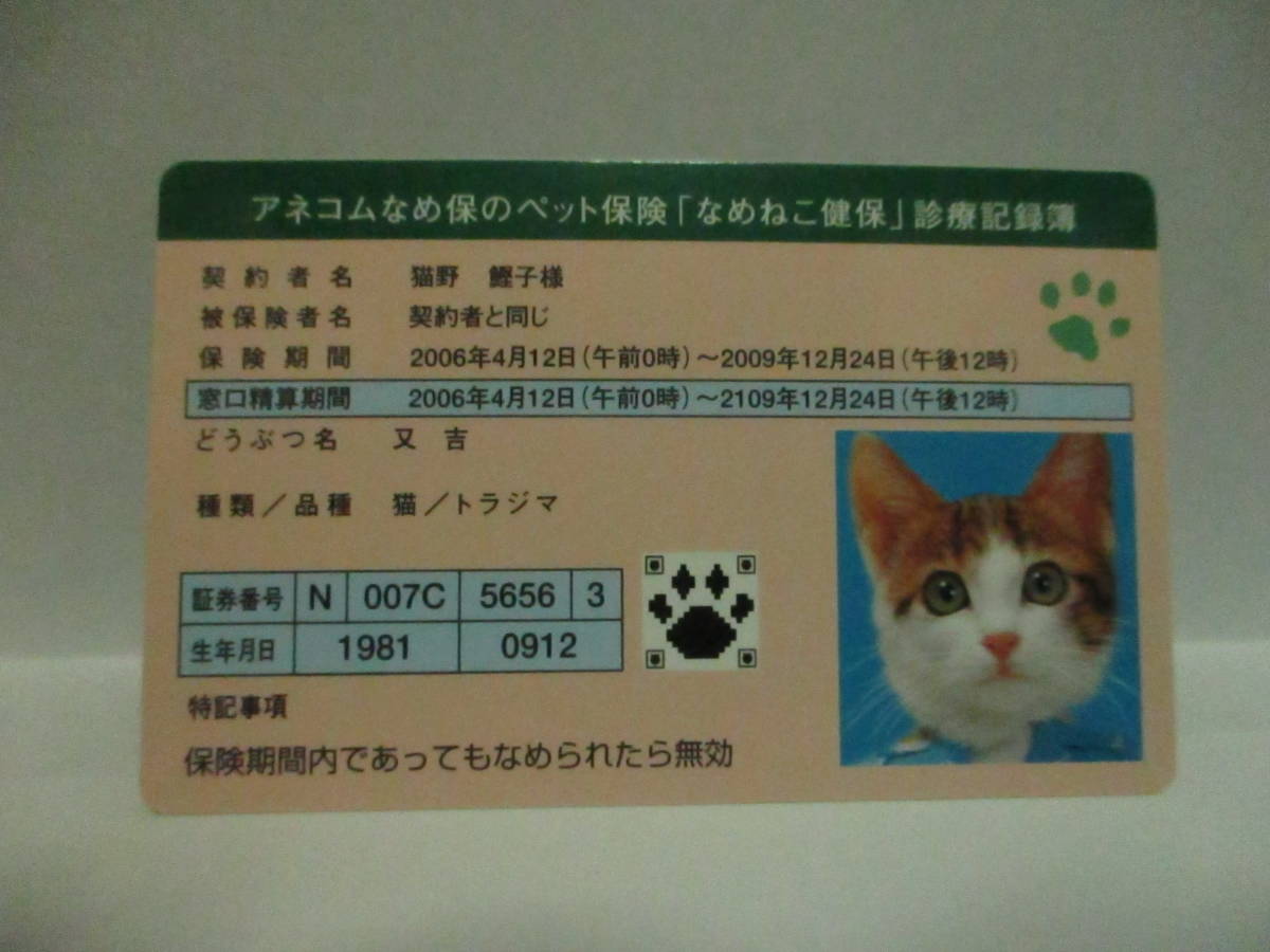 ★ なめ猫 なめんなよ アネコムなめ保のペット保険 なめねこ健保 診療記録簿 又吉 新品 即決 ★ なめ猫同梱検索拍卖