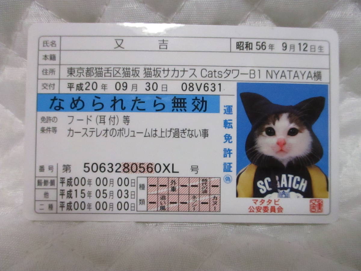 【 なめ猫 又吉 】 免許証 なめられたら無効 ブルー 新品 即決 耳付フード なめんなよ ★ なめ猫同梱検索拍卖