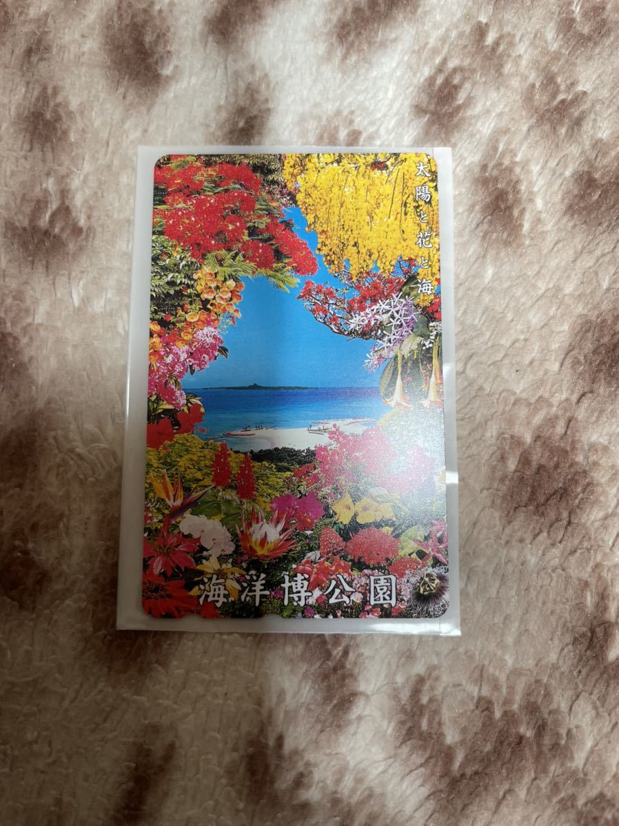 海洋博公園 テレホンカード 風景物 新品未使用 送料込☆拍卖