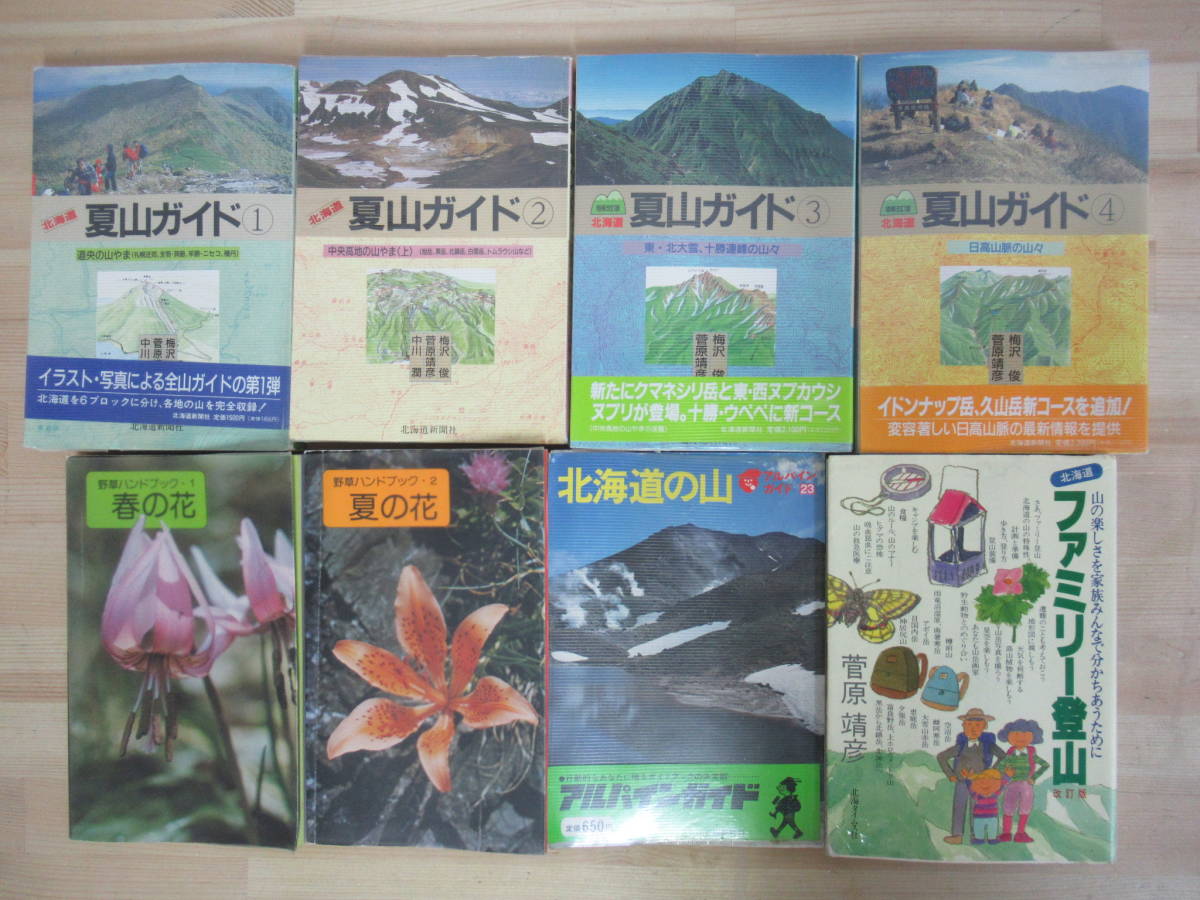 M36☆ まとめ 8冊 北海道 登山ガイドブック セット 梅沢俊 菅原靖彦 中川潤 所 1974年~1995年 野草 山岳 夏山 アルパインガイド 220520拍卖