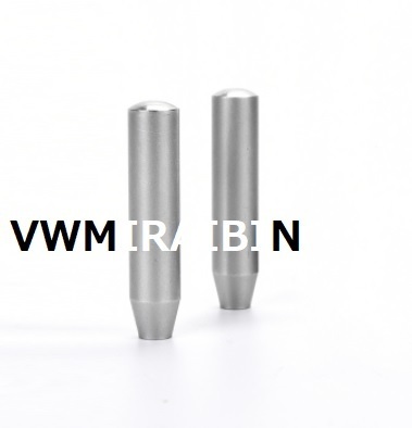 BENZ ベンツ ドア ロック ピン ステンレス シルバー W205 AMG など 2pcs拍卖