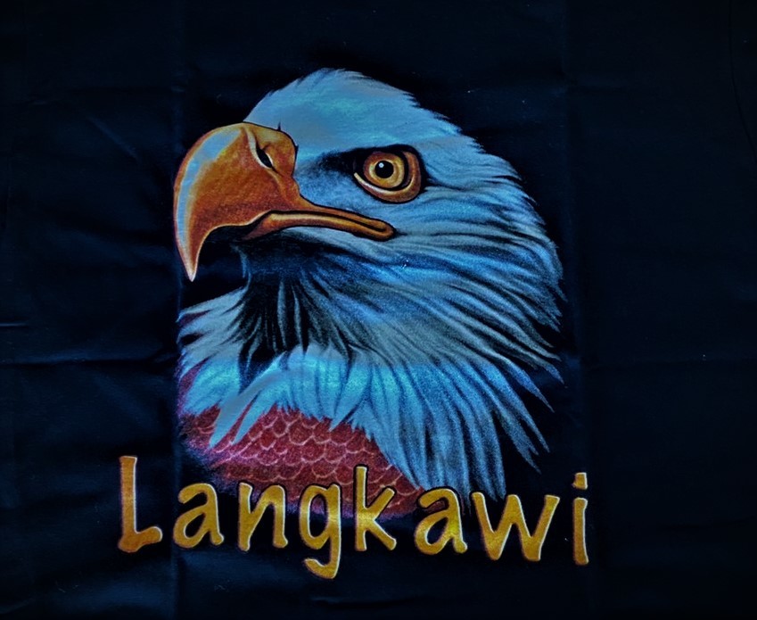 ワシ 鷲 イーグル EAGLE Tシャツ Lサイズ 動物Tシャツ 鳥 バイカー拍卖